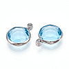 K9 Glass Charms GLAA-T023-37B-04-2