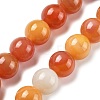 Natural Multi-Color Agate Beads Strands G-A261-B08-14mm-2