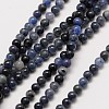 Natural Gemstone Sodalite Round Beads Strands G-A130-2mm-16-1