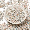 Baking Paint Glass Seed Beads X1-SEED-F006-01A-12-2