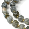Natural Labradorite Beads Strands G-Q010-A25-01-4