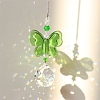 Glass Pendant Decorations PW-WGE3AD3-07-1