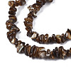 Natural Freshwater Shell Beads Strands SHEL-S278-070A-3