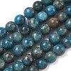 Natural Apatite Beads Strands LS-G-F816-A01-01B-2