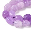 Dyed Natural Malaysia Jade Beads Strands G-P528-I10-01-3