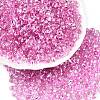 6/0 Baking Paint Transparent Fringe Glass Seed Beads SEED-N006-06G-1