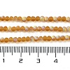 Imitation Jade Glass Beads Strands LS-EGLA-A034-T2mm-MB04-5