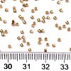 11/0 Grade A Glass Seed Beads X-SEED-S030-1219-4