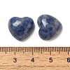 Natural Blue Spot Jasper Cabochons G-F776-02A-11-3