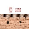 2-Hole Transparent Glass Seed Beads SEED-S023-30B-30-3
