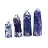 Point Tower Natural Sodalite Home Display Decoration PW-WG54681-04-4