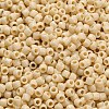 TOHO 6/0 Round Beads SEED-TR06-0051-3
