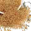 TOHO Round Beads X-SEED-TR11-0701-1