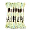 10 Skeins 6-Ply Polyester Embroidery Floss OCOR-K006-A14-1