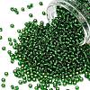 TOHO 8/0 Round Beads SEED-XTR08-0027B-1