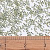 MIYUKI Delica Beads SEED-X0054-DB2163-4