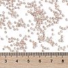 TOHO 11/0 Round Beads X-SEED-TR11-1067-4
