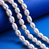 Natural Cultured Freshwater Pearl Beads Strands X-PEAR-I003-04-5