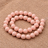 Polished Round Grade A Shell Pearl Bead Strands BSHE-M027-6mm-10-2