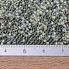 MIYUKI Delica Beads X-SEED-J020-DB1676-4