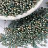 MIYUKI Round Rocailles Beads SEED-X0055-RR0351-4
