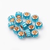 Glass European Beads GLAA-G064-01G-1