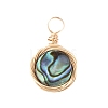 Natural Abalone Shell/Paua Shell Pendants X-PALLOY-JF00457-01-1