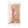 3 Sets 3 Styles Kraft Paper Greeting Cards AJEW-FS0001-28-6