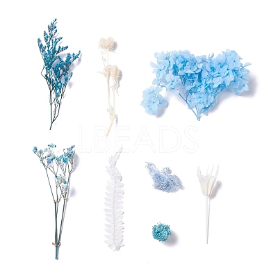 Dried Flowers X-DIY-D052-10-1