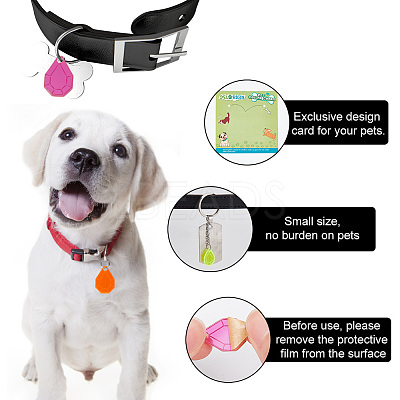 32Pcs 4 Colors Transparent Blank Acrylic Pet Dog ID Tag PALLOY-AB00045-1