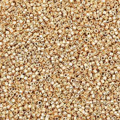 MIYUKI Delica Beads SEED-X0054-DB2501-1
