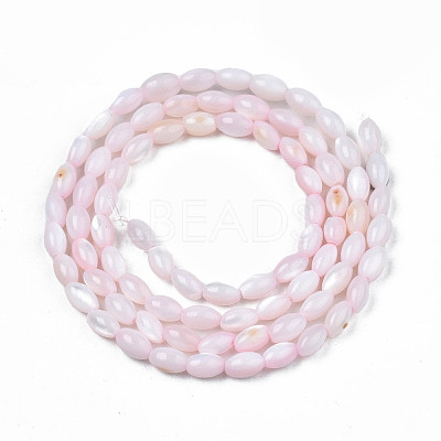 Natural Freshwater Shell Beads Strands SHEL-N003-25-B06-1