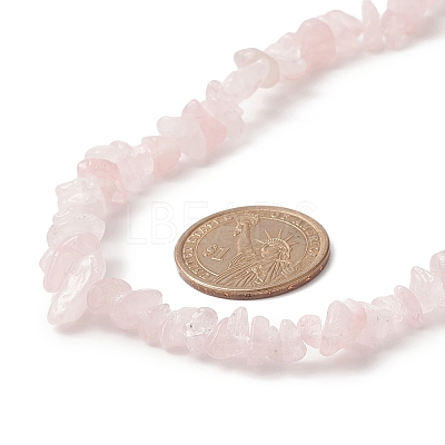 Natural Rose Quartz Chip Beaded Necklaces with 304 Stainless Steel Lobster Claw Clasp & Chain Extender NJEW-JN04225-01-1