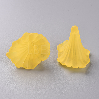 Transparent Acrylic Beads BSF796-C09-1