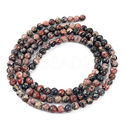 Natural Leopard Skin Jasper Beads Strands G-M438-A02-01-1