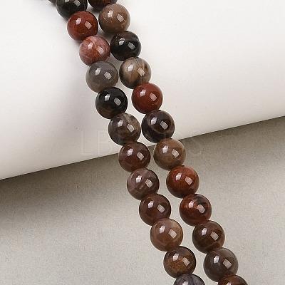 Natural Petrified Wood Round Bead Strands G-F266-08-6mm-1