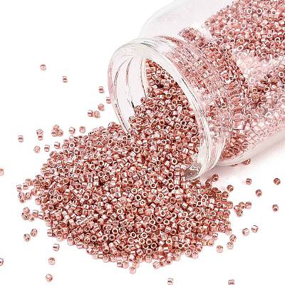 MIYUKI Delica Beads SEED-MY11-DB2503-1