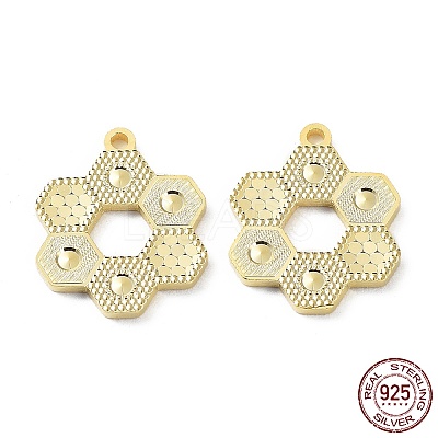 925 Sterling Silver Pendants STER-C003-14G-1