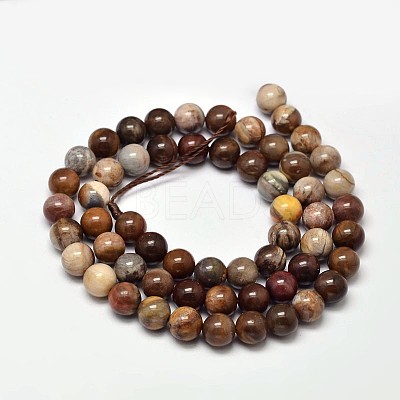 Natural Petrified Wood Round Bead Strands G-F266-08-4mm-1