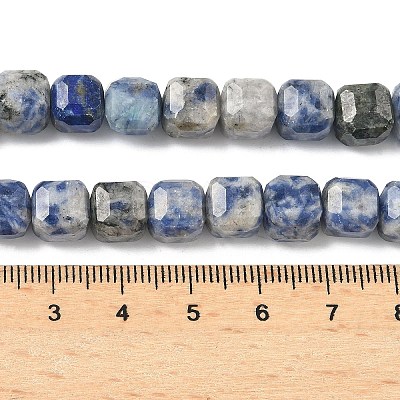 Natural Blue Spot Jasper Beads Strands G-C267-A20-1