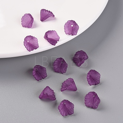 Frosted Acrylic Bead Caps MACR-S371-10A-743-1