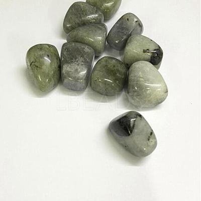 Natural Labradorite Beads G-K302-A09-1