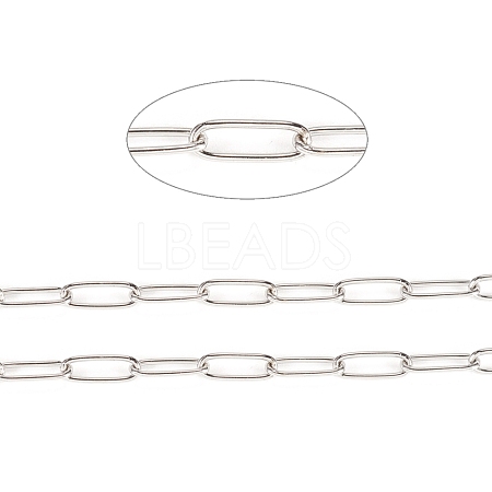 Tarnish Resistant 304 Stainless Steel Paperclip Chains CHS-F010-01E-P-1