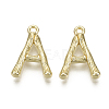 Alloy Pendants PALLOY-S137-001A-NR-2