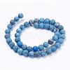 Dyed Natural Map Stone/Picasso Stone/Picasso Jasper Beads Strands G-F520-52-10mm-2