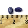 Natural Lapis Lazuli Cabochons G-A094-01A-04-3