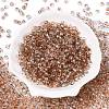 Baking Paint Electroplate Transparent Glass Seed Beads SEED-N006-07N-2