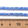 Electroplate Glass Beads Strands EGLA-D031-01-06-4
