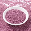MIYUKI Round Rocailles Beads SEED-G007-RR0645-2