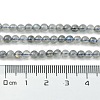 Natural Labradorite Beads Strands G-Z034-B04-03-5